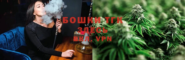 хмурый Видное